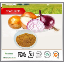 100% Natural Onion extract, etuber onion seed extract, Onion extract powder